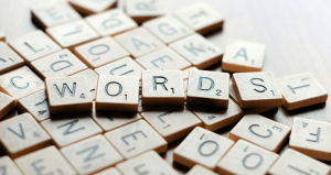 Language in the Professional Setting